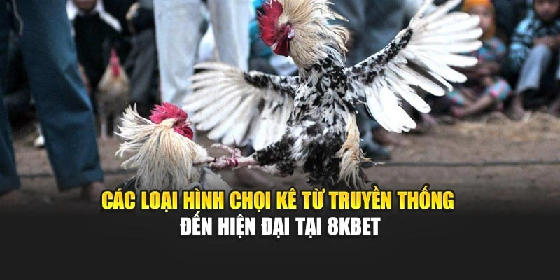 Các loại hình chọi kê từ truyền thống đến hiện đại tại 8kbet