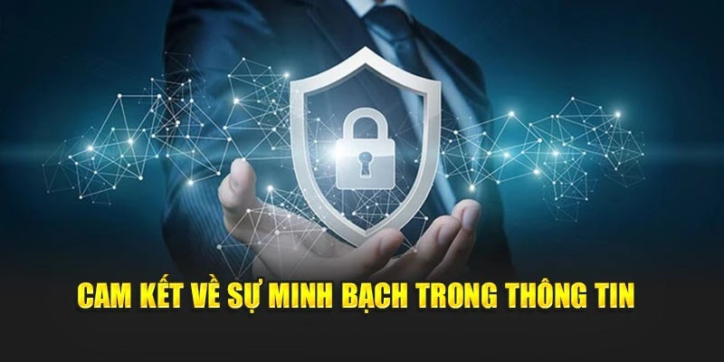 Cam kết về sự minh bạch trong thông tin