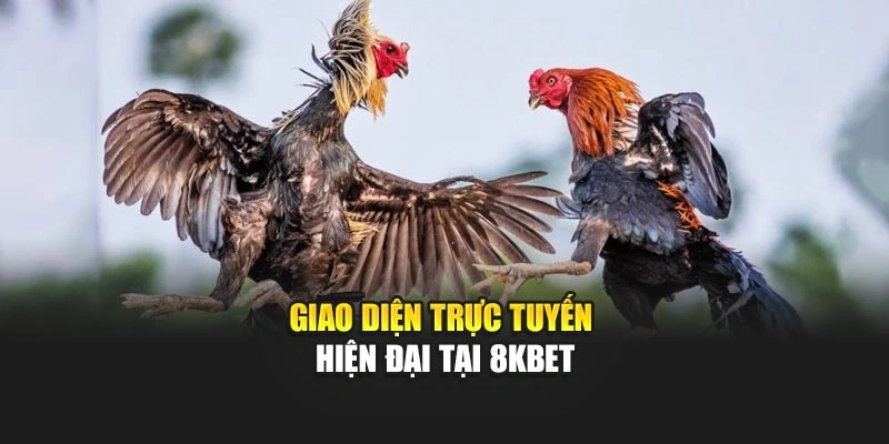 Giao diện trực tuyến hiện đại tại 8KBET
