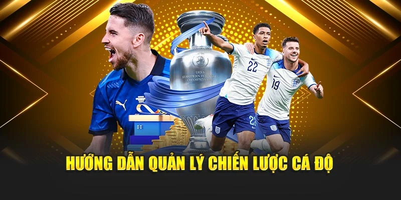 Hướng dẫn quản lý chiến lược cá độ
