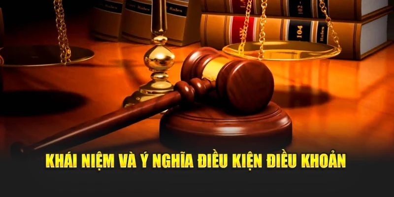 Khái niệm và ý nghĩa điều kiện điều khoản